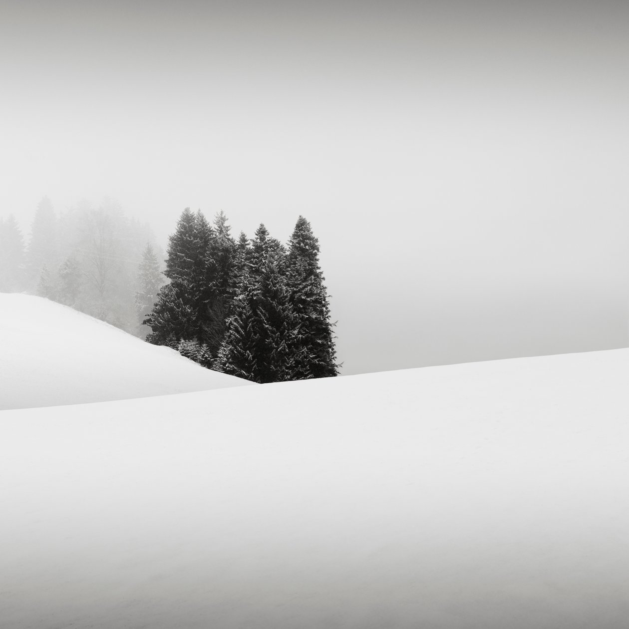 واحة Snowytales ، بافاريا ، ألمانيا ، 2013 (b / w photo) بواسطة فنان غير معروف