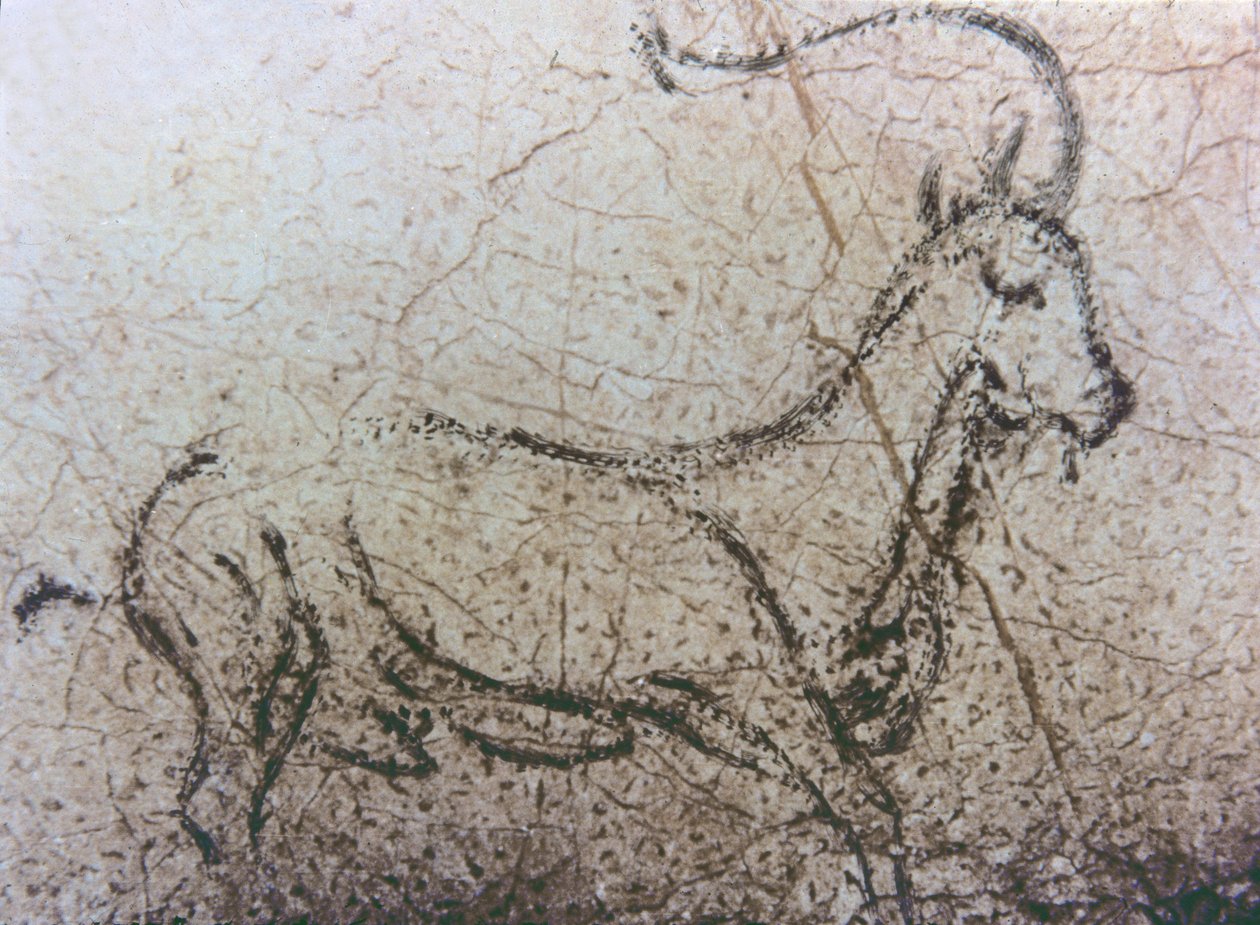 مربية ماعز إسبانية ، العصر الحجري القديم ، حوالي 40000-12000 قبل الميلاد (لوحة صخرية) بواسطة فنان غير معروف