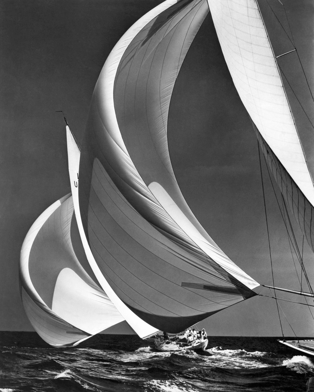 Spinakers On Racing Sailboats (صورة b / w) بواسطة فنان غير معروف