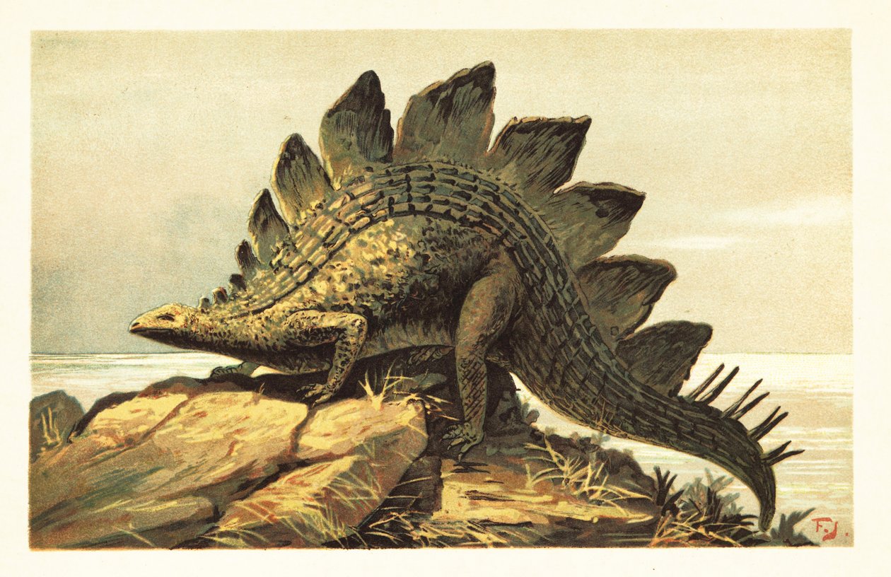 Stegosaurus ، جنس منقرض من الديناصورات العاشبة. 1908 (طباعة حجرية) بواسطة فنان غير معروف