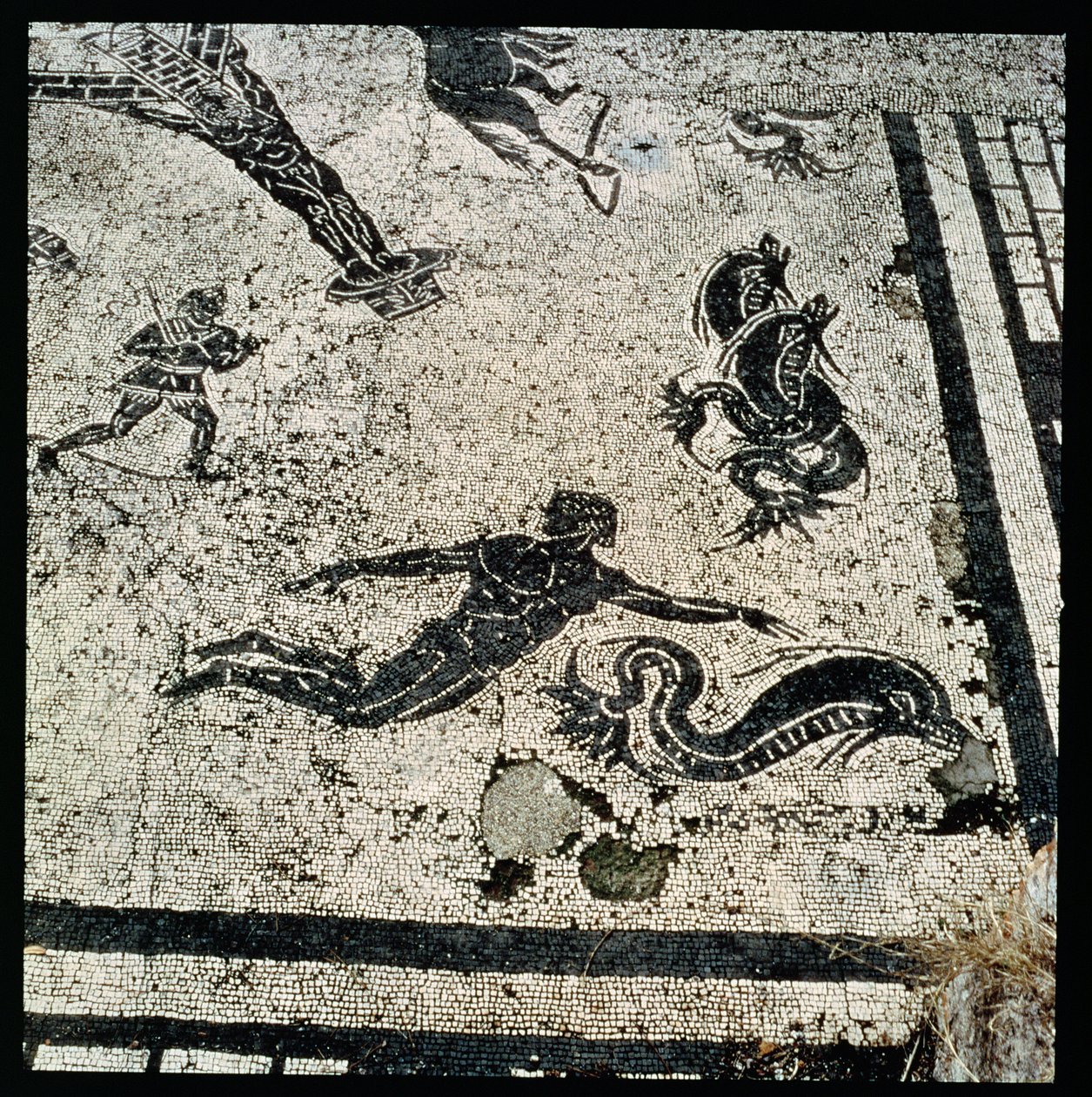 Swimming with the Dolphins, from the Frigidarium of the Baths at Ostia, 2nd Century AD (mosaic) بواسطة غير معروف