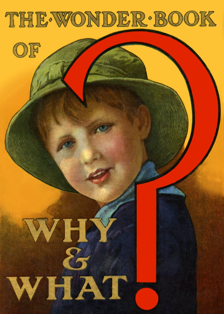 The Wonder Book of Why and What بواسطة غير معروف