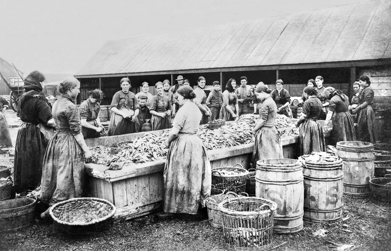 المملكة المتحدة: Women Gutting Herrings. أبردين ، 1880 بواسطة غير معروف