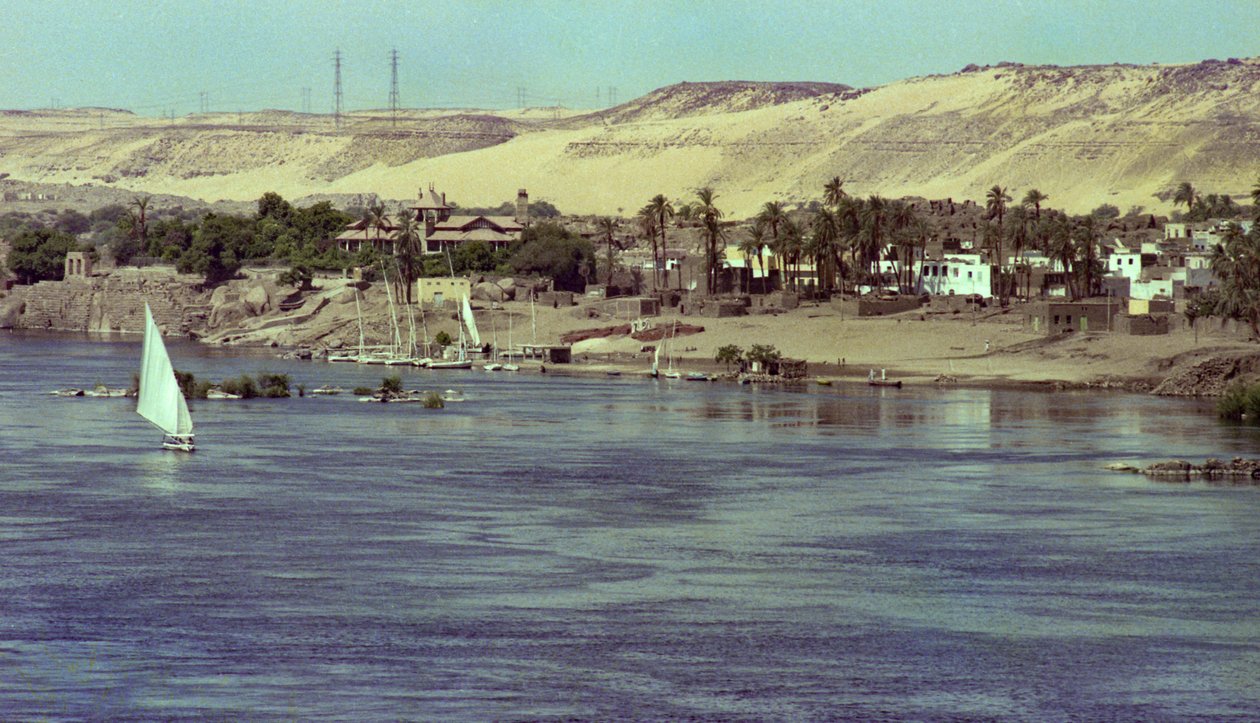 منظر على النيل مع مركب فالوكا إيجيبت ، حوالي عام 1979 (صورة) بواسطة فنان غير معروف