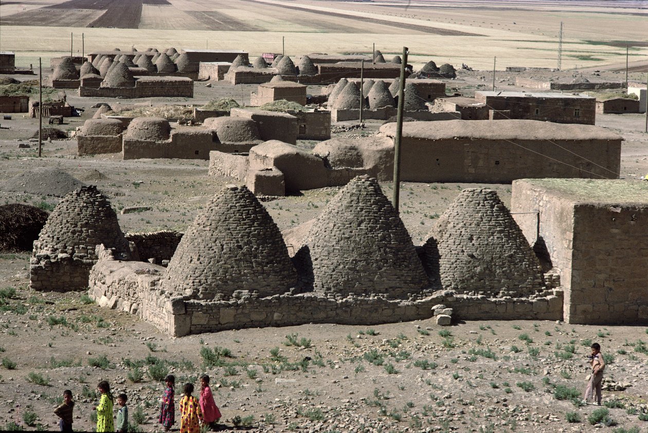 قرية أكواخ خلية النحل (الصورة) بواسطة غير معروف