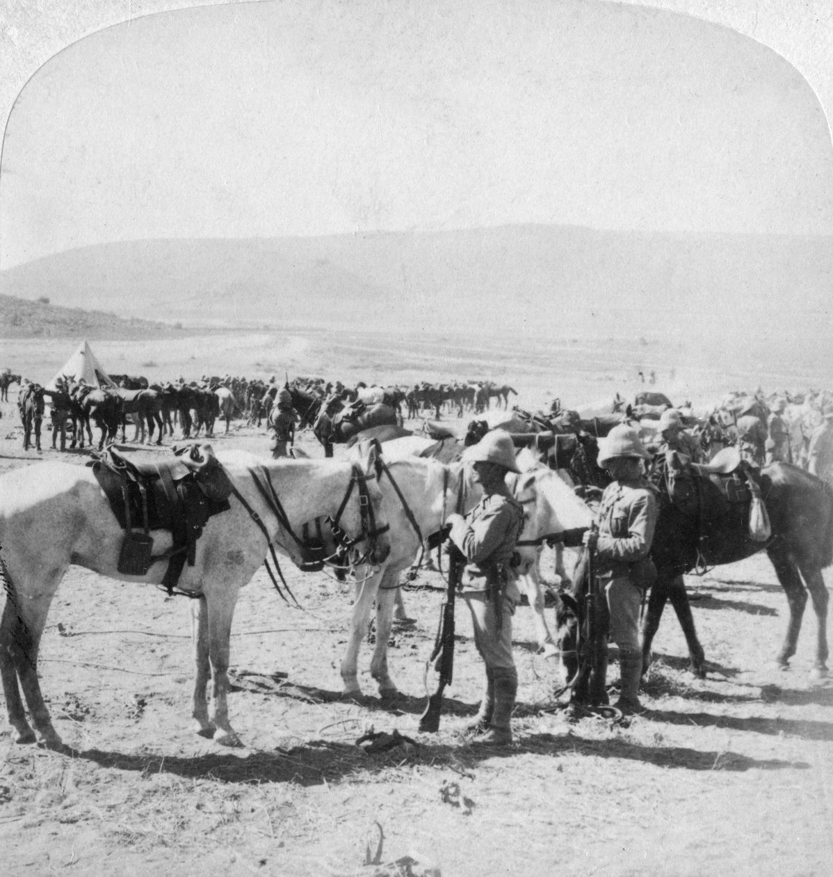 بنادق محمولة على أستراليا بعد مناوشة في نهر مودر ، جنوب أفريقيا ، 12 يناير 1900. بواسطة أندروود أند أندروود