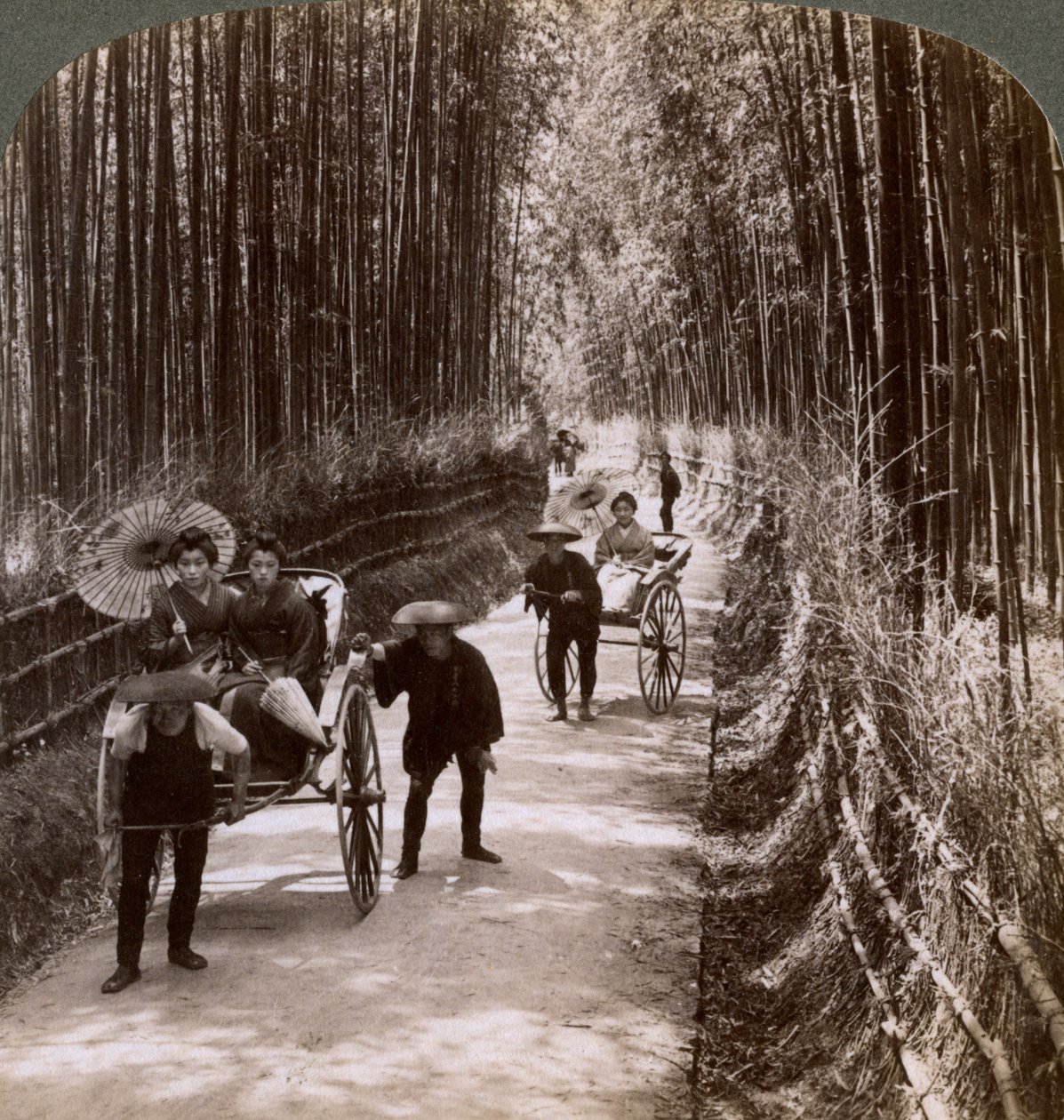 طريق الخيزران ، باتجاه الجنوب الغربي ، بالقرب من كيوميزو ، كيوتو ، اليابان ، 1904 بواسطة أندروود أند أندروود