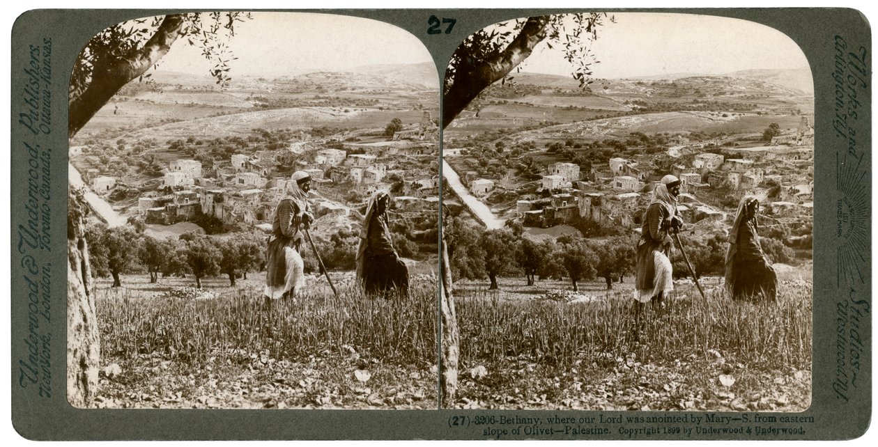 بيت عنيا ، كما يُرى من المنحدر الشرقي لجبل الزيتون ، فلسطين ، 1899. بواسطة أندروود أند أندروود