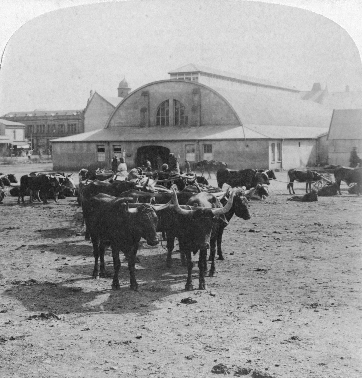 المبنى الذي حوكم فيه أسرى الحرب ، بريتوريا ، جنوب أفريقيا ، حرب البوير ، 1901 بواسطة أندروود أند أندروود