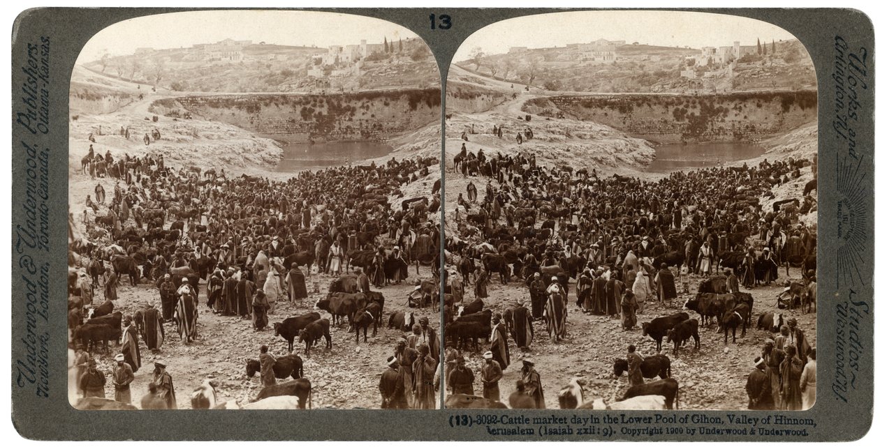 يوم سوق الماشية ، في البركة السفلية لجيهون ، وادي هنوم ، القدس ، فلسطين ، 1900. بواسطة أندروود أند أندروود