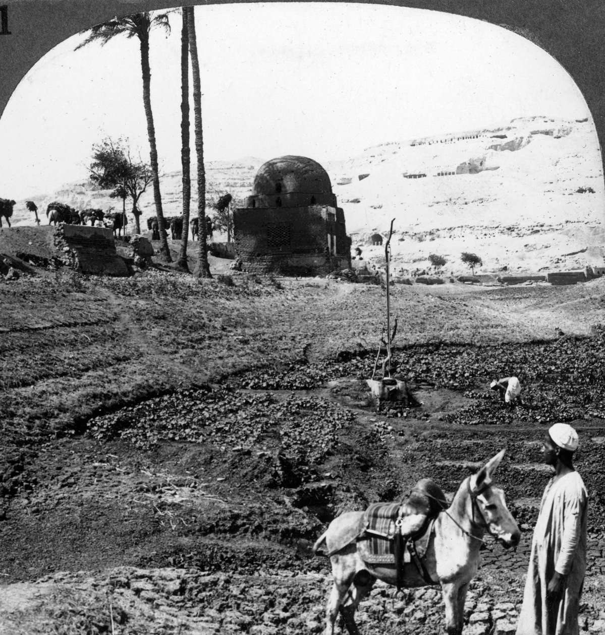 مقابر لوردات أسيوط ، مصر ، 1905. بواسطة أندروود أند أندروود