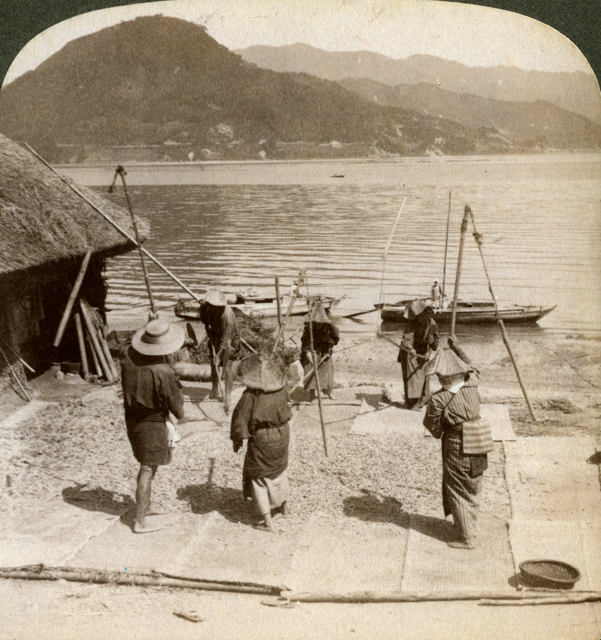 الشعير المتدفق بجوار شاطئ الصيد على البحر الداخلي ، اليابان ، 1904. بواسطة أندروود أند أندروود