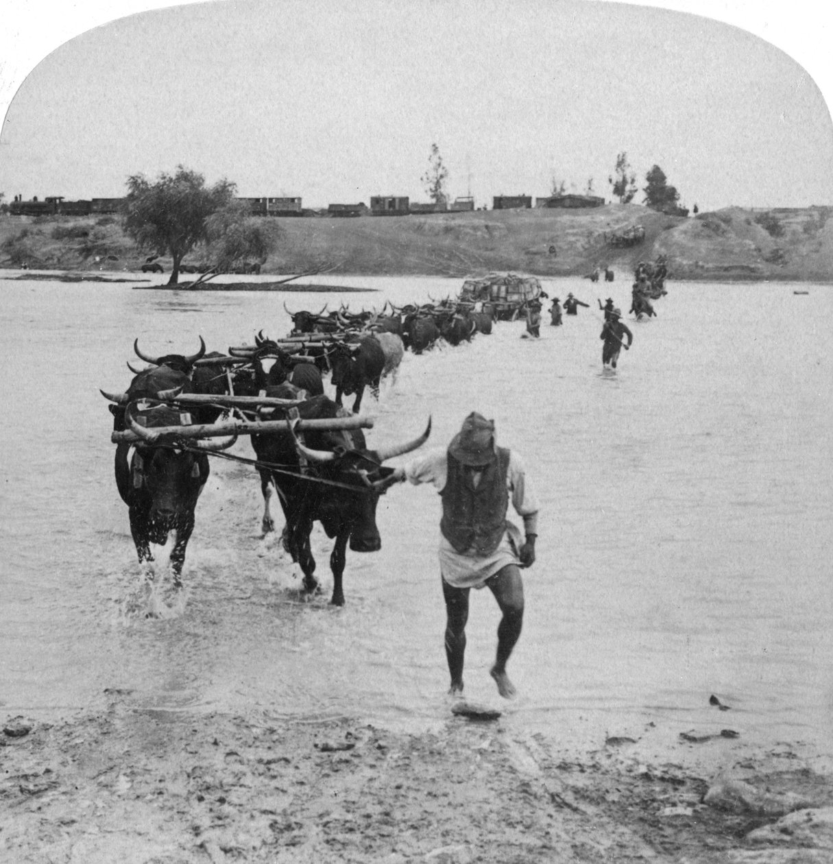 تسجيل نهر مودر ، حرب البوير ، جنوب أفريقيا ، 15 فبراير 1901. بواسطة أندروود أند أندروود