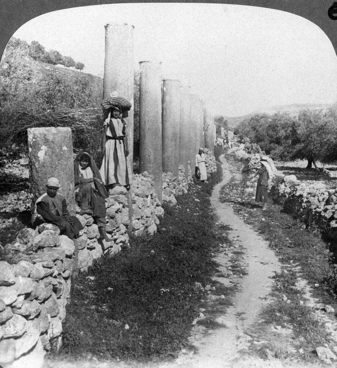 شارع أعمدة هيرودس ، السامرة ، فلسطين إسرائيل ، 1905. بواسطة أندروود أند أندروود