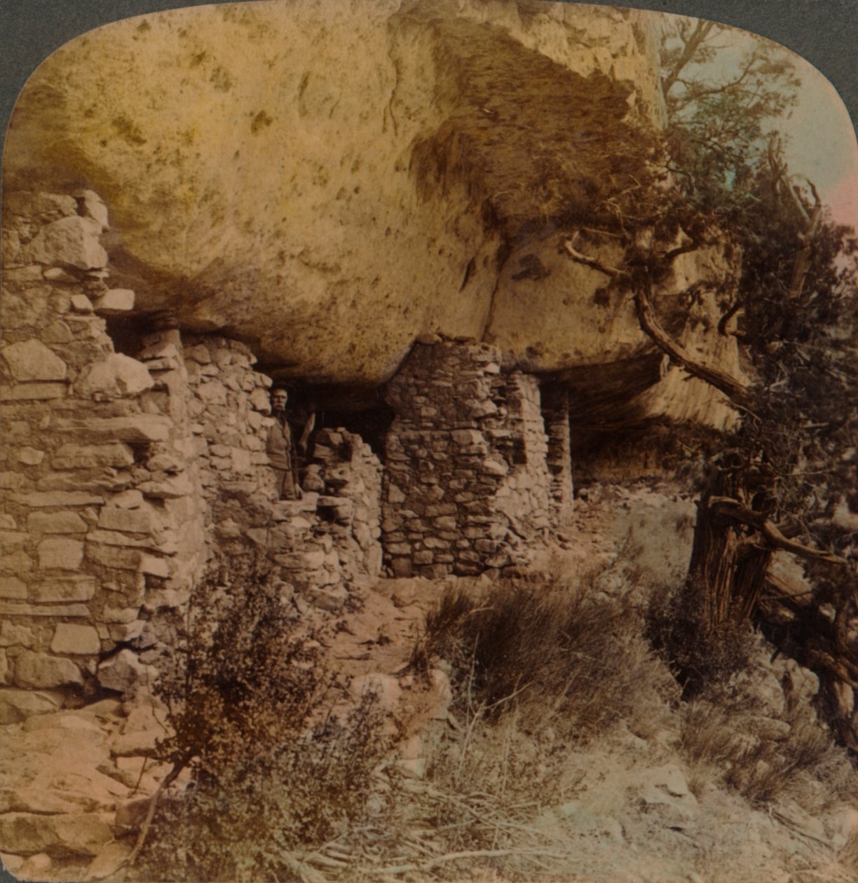 منازل سباق اختفى - منازل كليف في الجوز كانيون ، أريزونا ، 1903. الفنانين: إلمر أندروود ، بيرت إلياس أندروود. بواسطة أندروود أند أندروود