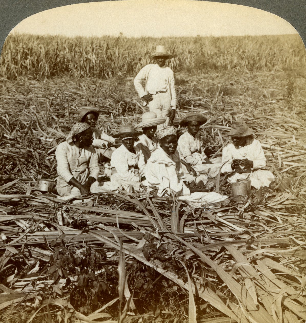 في مزرعة السكر La Union ، سان لويس ، مقاطعة سانتياغو ، كوبا ، 1899. بواسطة أندروود أند أندروود