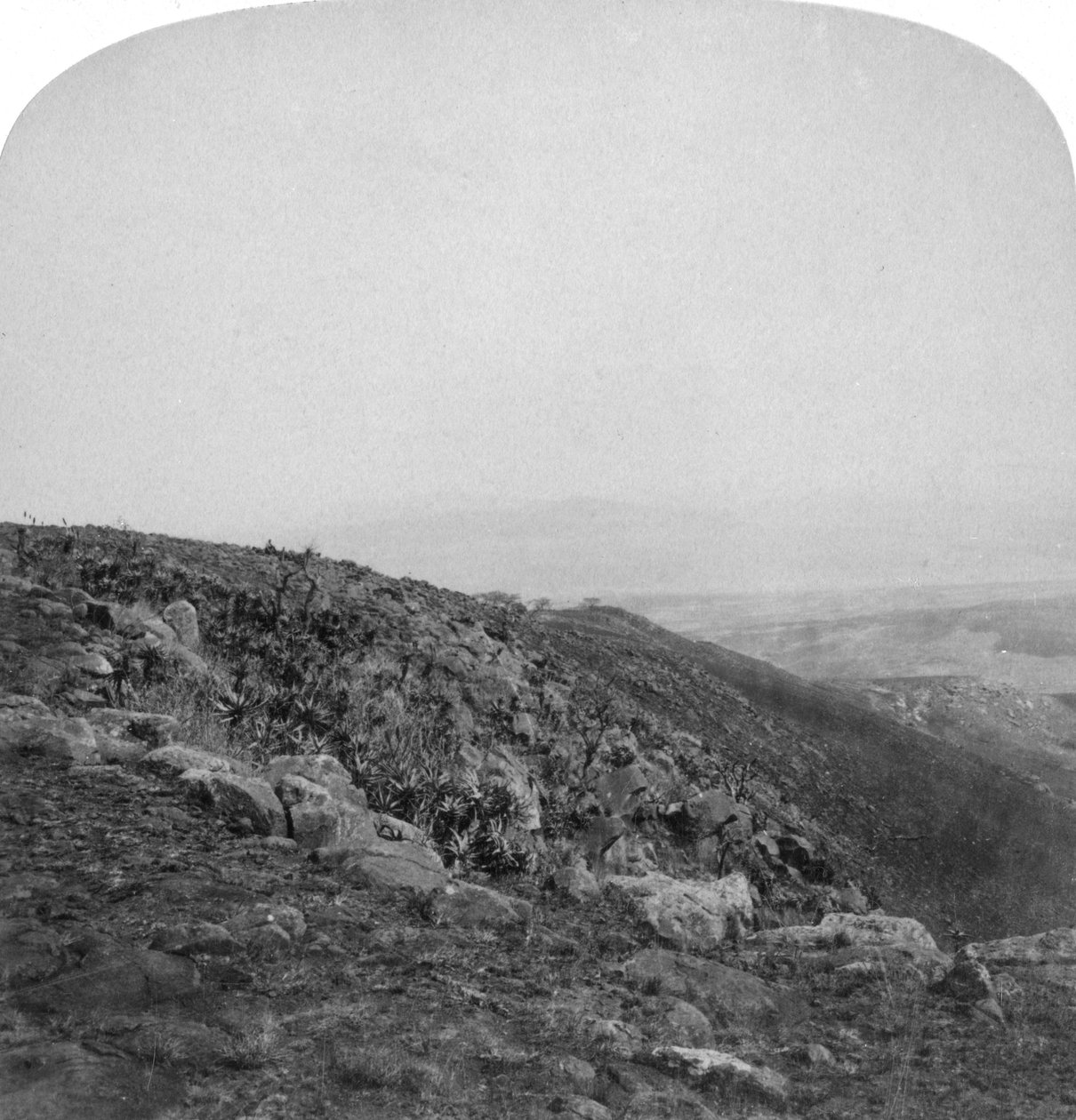 المنحدر الجنوبي لسبون كوب ، جنوب أفريقيا ، حرب البوير ، 1901. بواسطة أندروود أند أندروود