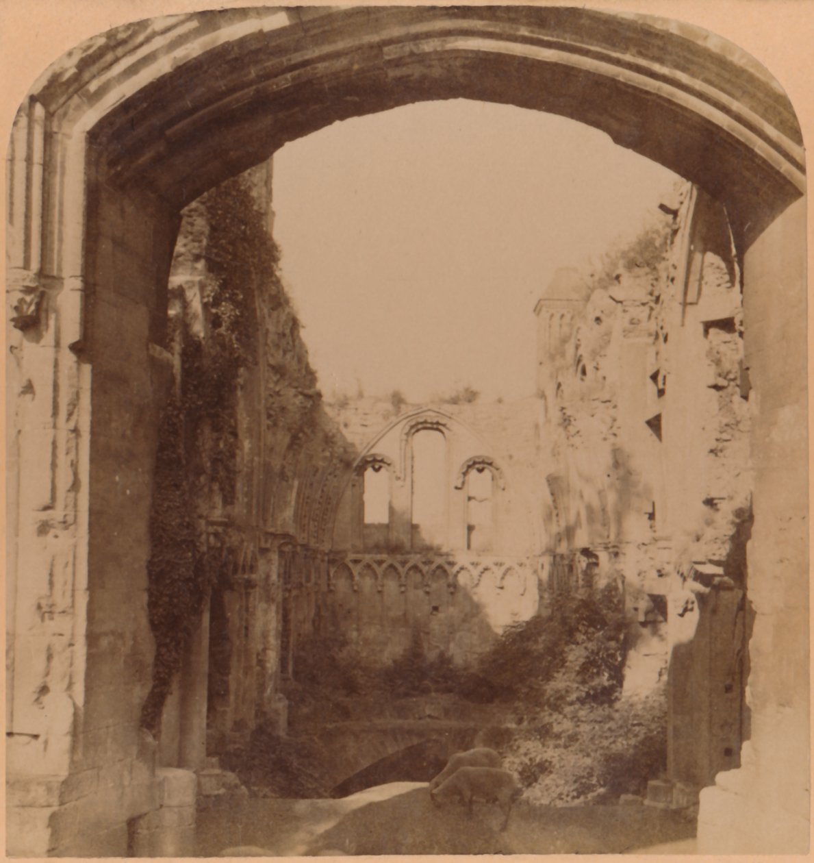 كنيسة سانت جوزيف ، دير غلاستونبري القرن السادس ، 1900. بواسطة أندروود أند أندروود