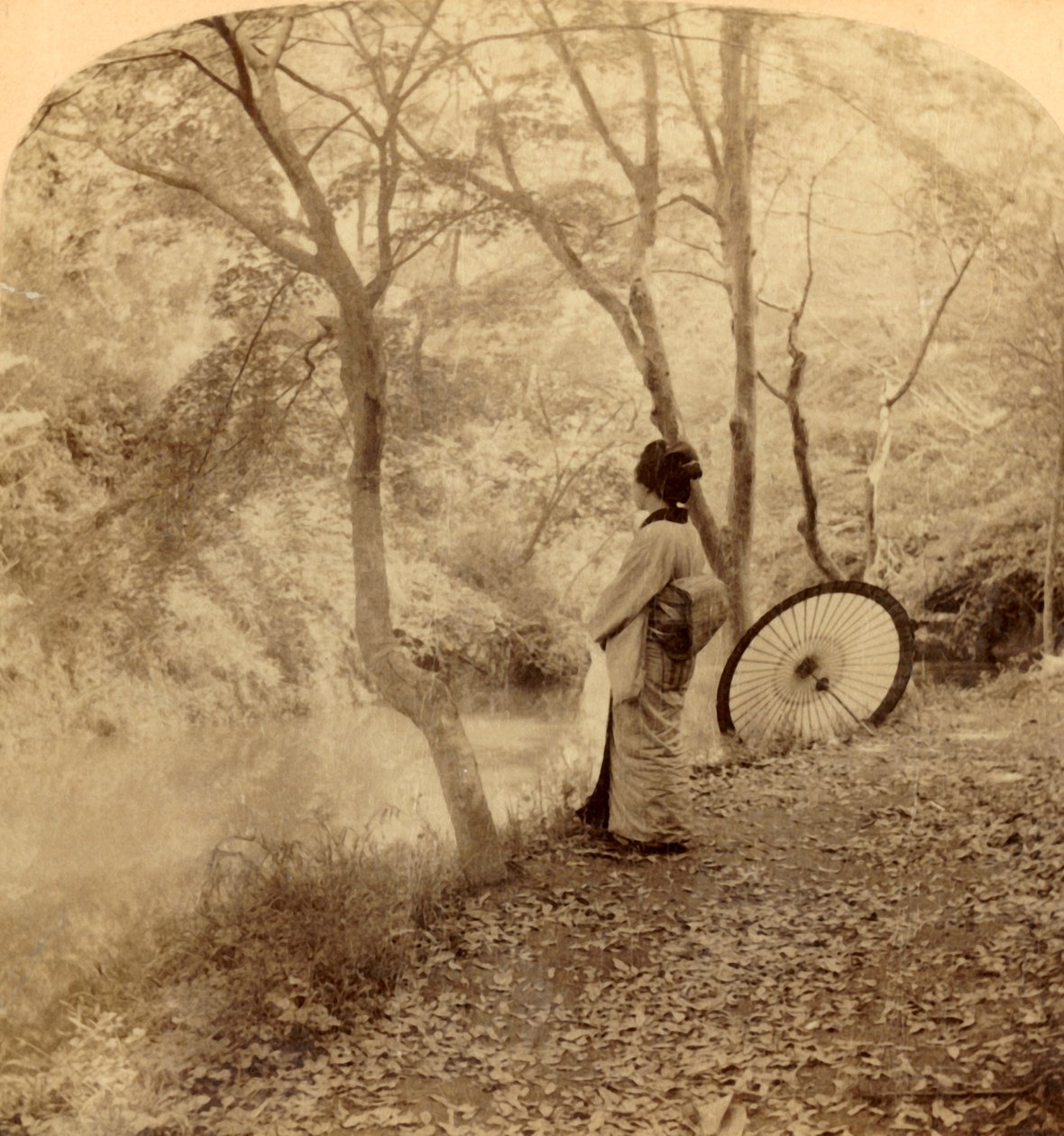 أيام الخريف الذهبية في اليابان ، 1896. بواسطة أندروود أند أندروود