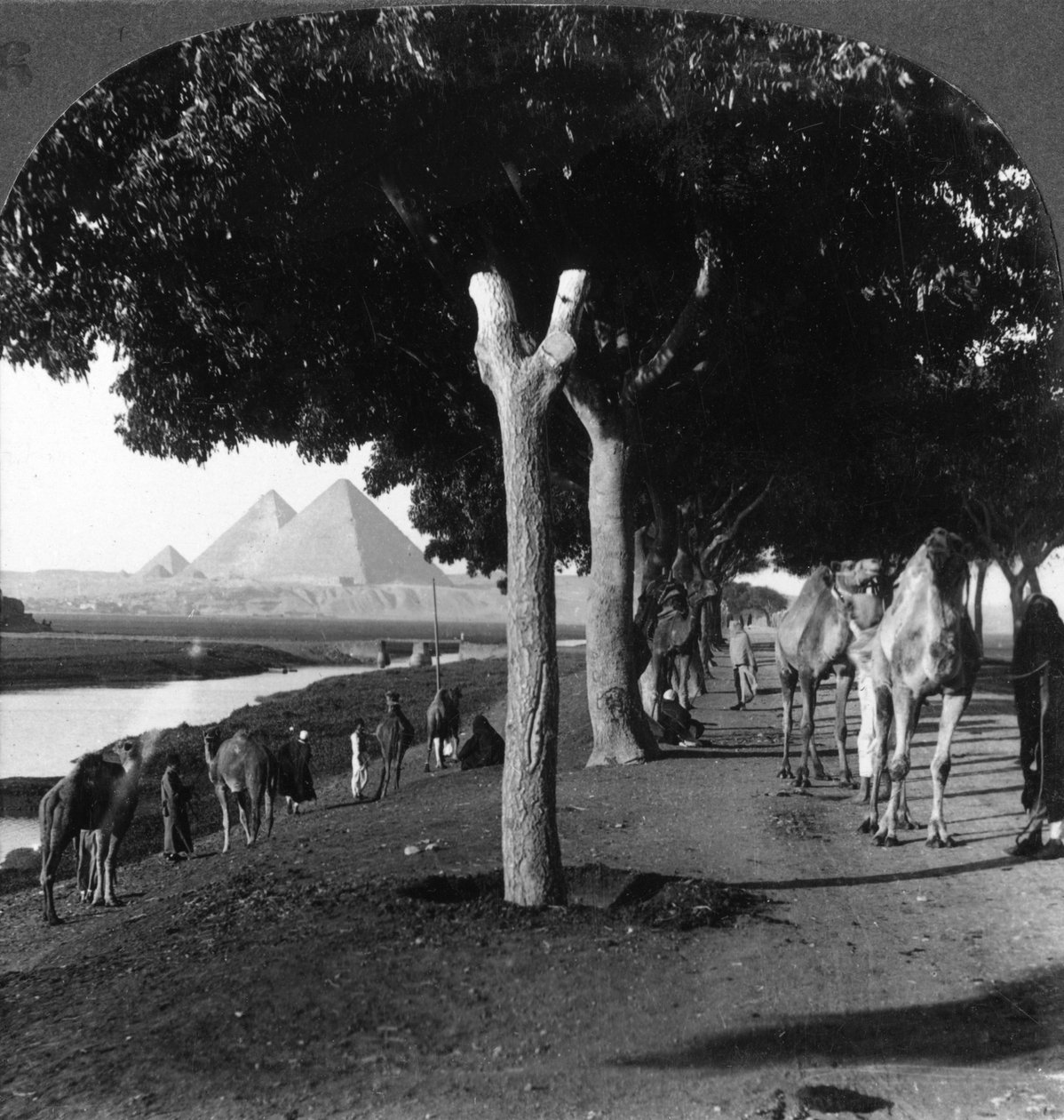 طريق الأهرامات ، الجيزة ، مصر ، 1905. بواسطة أندروود أند أندروود