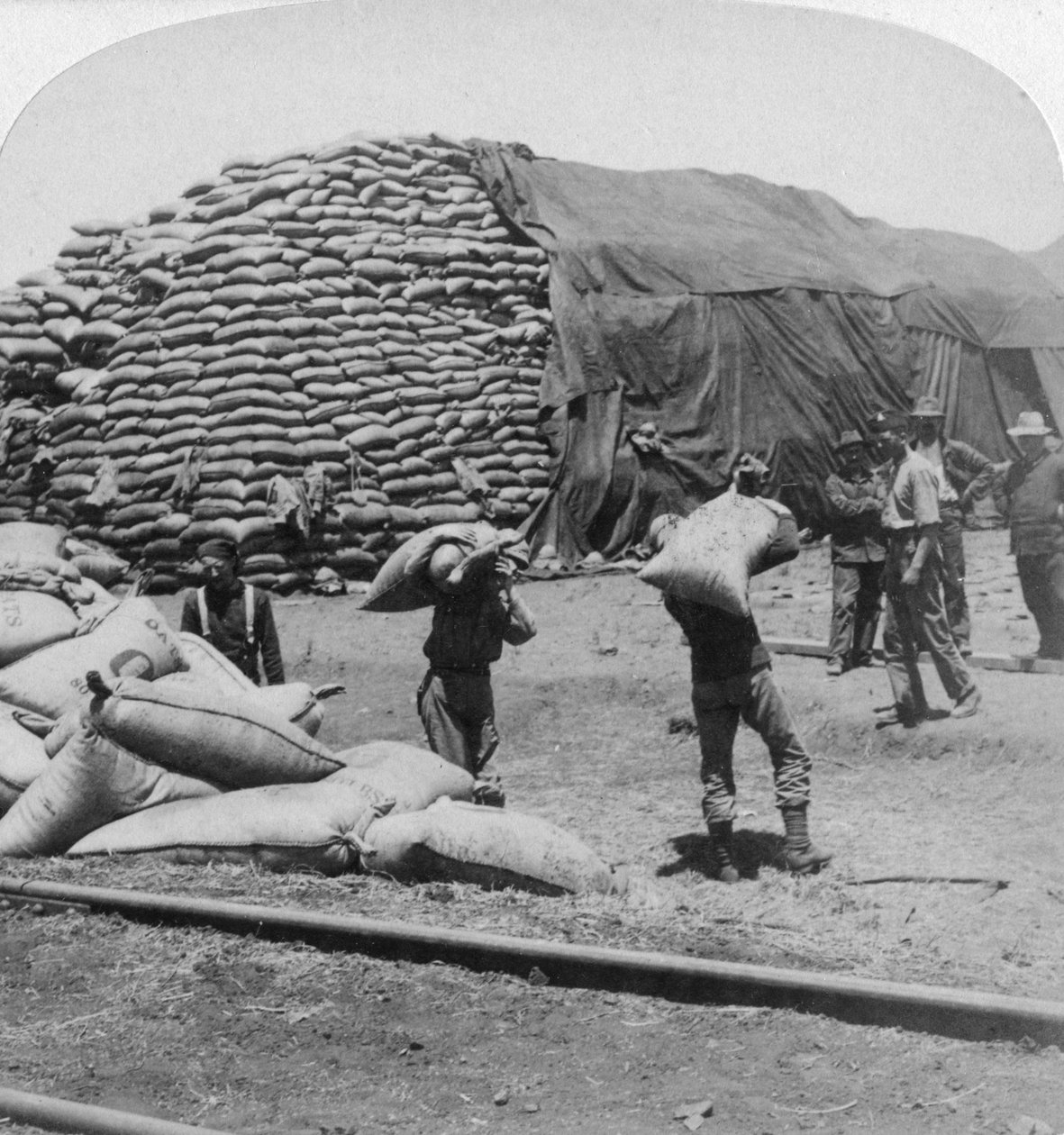 طن من الشوفان لصديق مخلص تومي ، دي آار ، جنوب أفريقيا ، حرب البوير ، 1900. بواسطة أندروود أند أندروود
