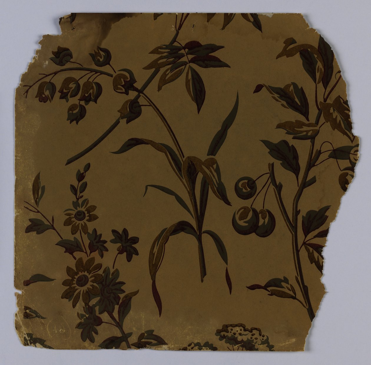 عينة جدار جانبي ، 1880-1890 بواسطة غير معروف