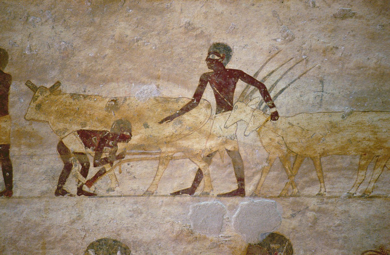 موكب مع الماشية والغزلان ، التفاصيل من لوحة حائط مقبرة ، مصري ، قديم إلى المملكة الوسطى (حجر جيري مطلي) بواسطة غير معروف
