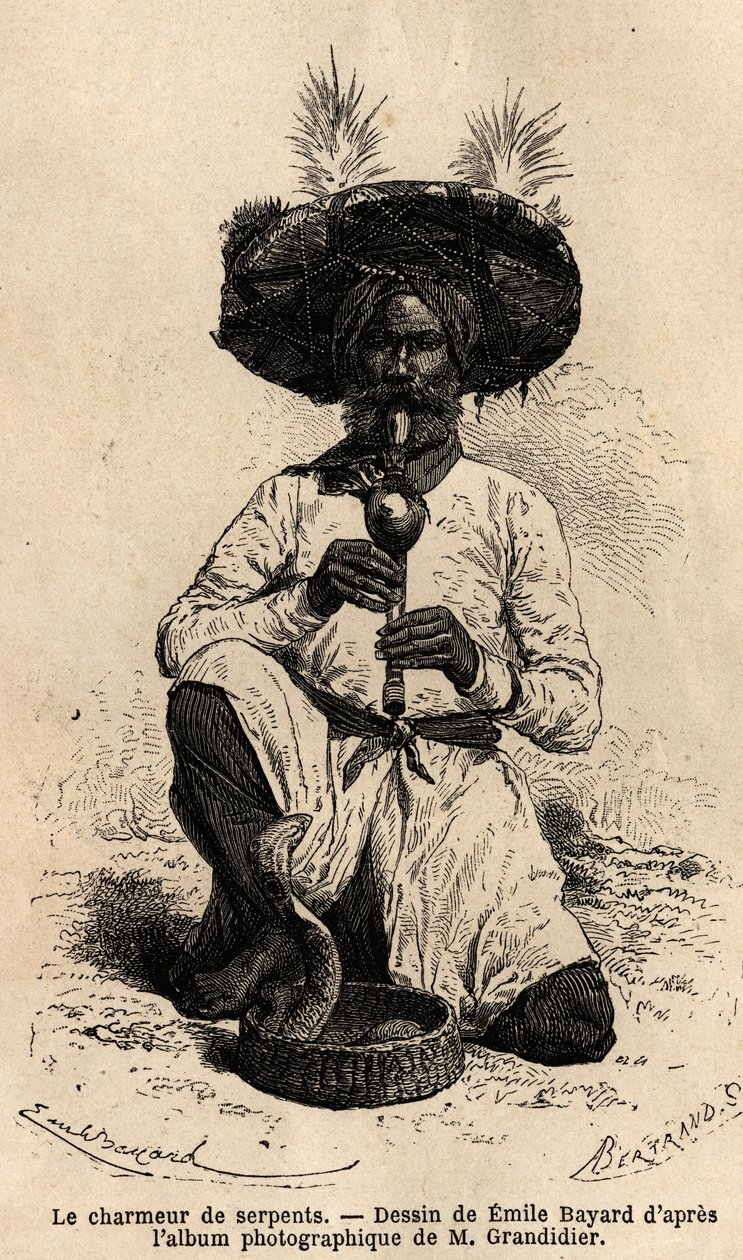 فقير ثعبان ساحر. نقش لتوضيح الرحلة في مقاطعات الهند ، من قبل ألفريد غرانديدير ، في 1862-1864 ، نُشر في "" le tour du monde "، تحت إشراف D'Edouard Charton ، Hachette ، Paris 1869.Selva Collection. بواسطة فنان غير معروف