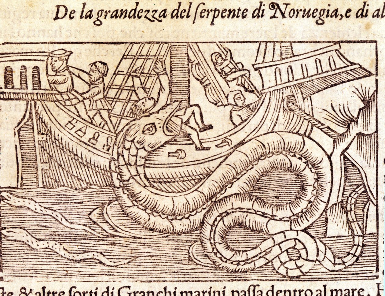 أفعى بحرية عملاقة تهاجم سفينة وتضرب طاقمها. نقش بواسطة Olaus Magnus (1490 - 1557) ، عالم ديني وجغرافي سويدي ، "Historia de Gentis Septentrionalibus" ، البندقية بواسطة فنان غير معروف