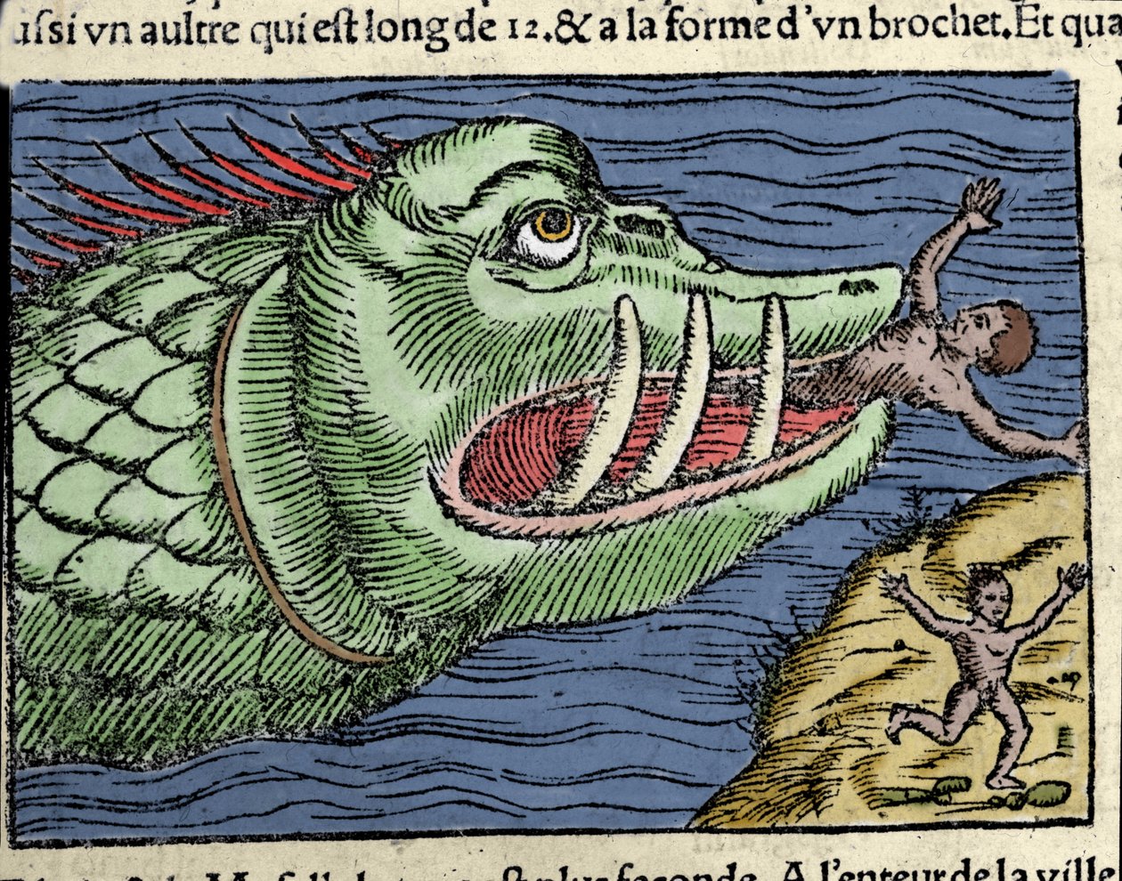 وحش بحري يتفوق على أحد السباحين بالقرب من ساحل النرويج. نقش بواسطة Olaus Magnus (1490 - 1557) ، عالم ديني وجغرافي سويدي ، "Historia de Gentis Septentrionalibus" ، البندقية بواسطة فنان غير معروف