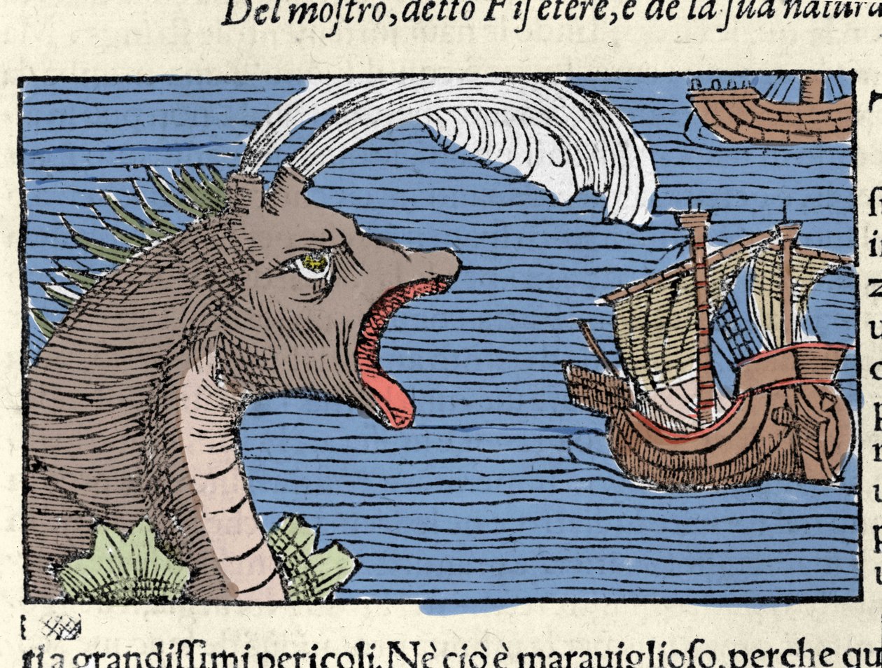 حوت العنبر (؟) (فيزيتر) يهاجم سفينة. نقش بواسطة Olaus Magnus (1490 - 1557) ، عالم ديني وجغرافي سويدي ، "Historia de Gentis Septentrionalibus" ، البندقية بواسطة فنان غير معروف