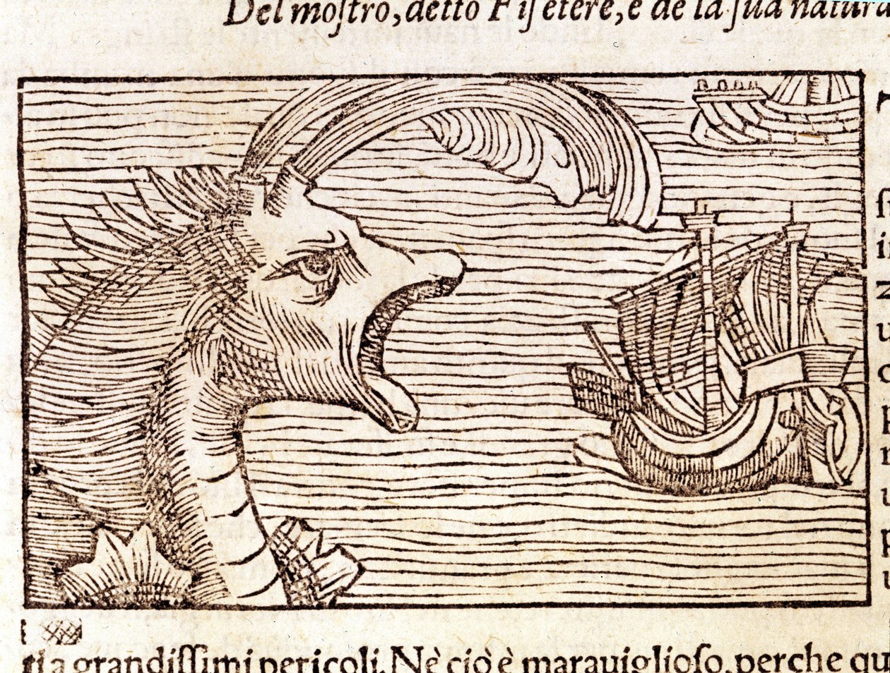 حوت العنبر (؟) (فيزيتر) يهاجم سفينة. نقش بواسطة Olaus Magnus (1490 - 1557) ، عالم ديني وجغرافي سويدي ، "Historia de Gentis Septentrionalibus" ، البندقية بواسطة فنان غير معروف
