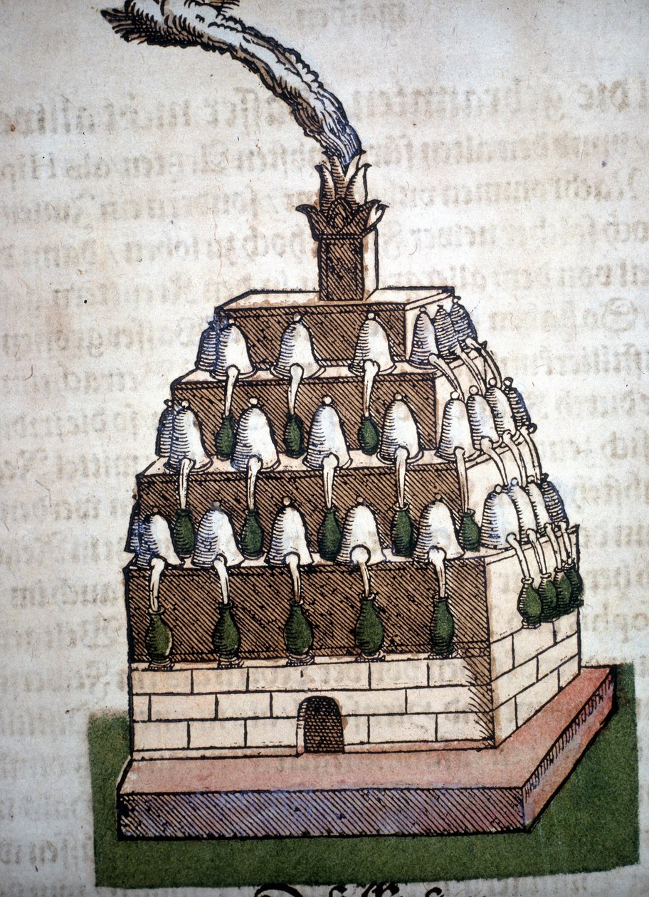 Alchemy: The Athanor Four من كتاب لبييترو أندريا ماتيولي (ماتيولي) (1500-1577). فرانكفورت بواسطة فنان غير معروف