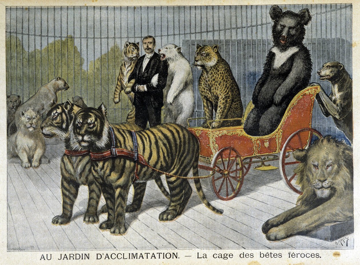 في حديقة التأقلم: قفص الوحوش الشرسة - في "Le Petite Journal" بتاريخ 02/06/1895 بواسطة فنان غير معروف