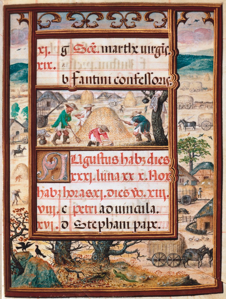 أغسطس. الفلاحون في العمل. صفحة مخطوطة "كتاب الساعات" لمانويل الأول ملك البرتغال (1469-1521) 1517. لشبونة ، متحف آرتي أنتيكا بواسطة فنان غير معروف