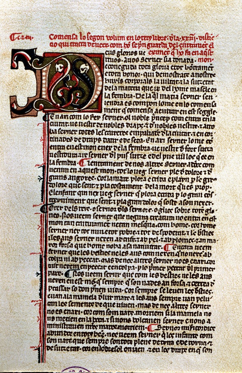  بواسطة فنان غير معروف