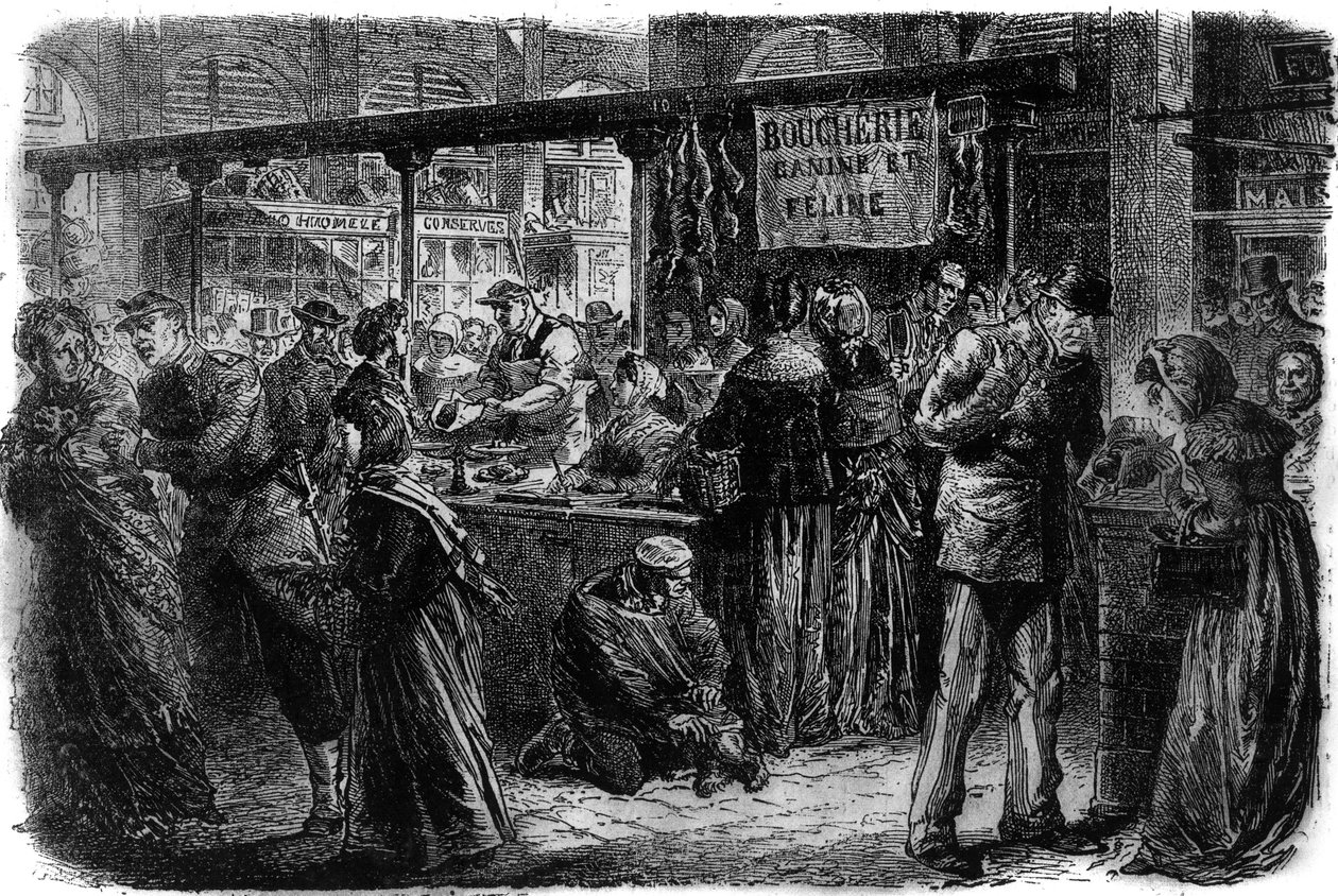 جزارة كلاب وقطط في باريس عام 1870 بواسطة فنان غير معروف