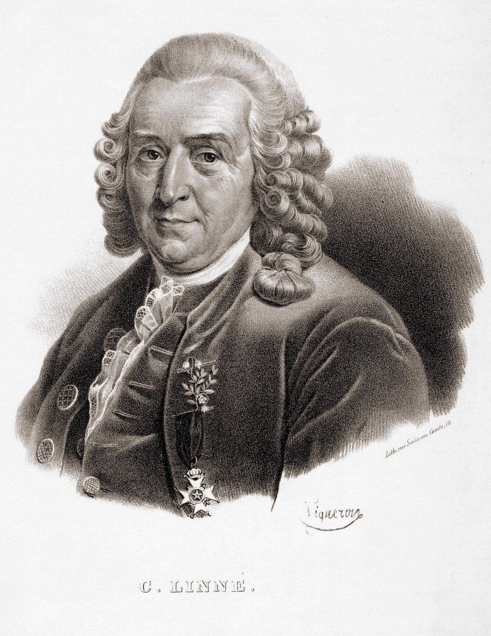 كارل فون ليني عالم الطبيعة والكاتب السويدي (1707 - 1778). بواسطة فنان غير معروف