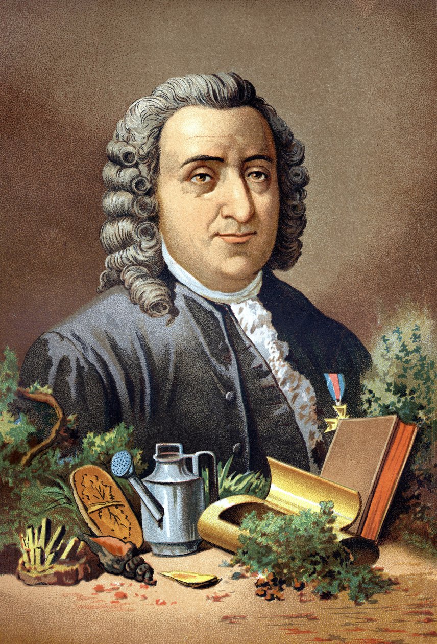 كارل فون ليني عالم الطبيعة والكاتب السويدي (1707 - 1778) بعد "العلم ورجاله" للويس فيغير. برشلونة 1881 بواسطة فنان غير معروف
