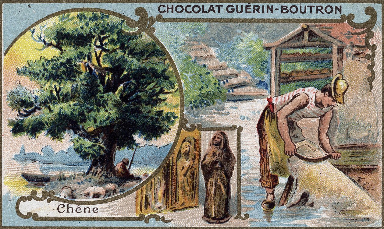 تغليف Chromolithography من الشوكولاتة Guérin Boutron القرن التاسع عشر. بواسطة فنان غير معروف