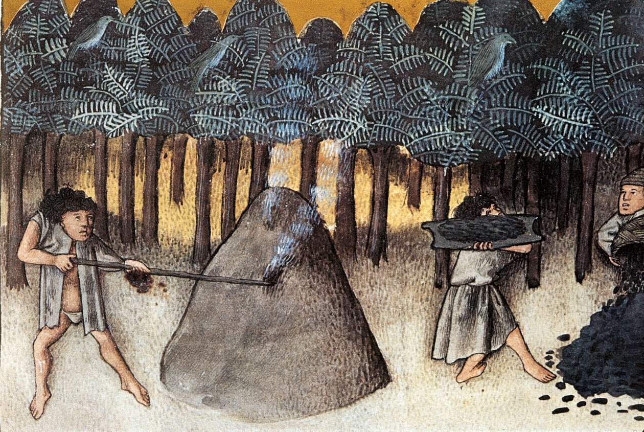 تعدين الفحم ، صورة مصغرة مأخوذة من De natura rerum بواسطة توماس دي كانتيمبري (1201-1272) القرن الثالث عشر غرناطة. مكتبة الجامعة بواسطة فنان غير معروف