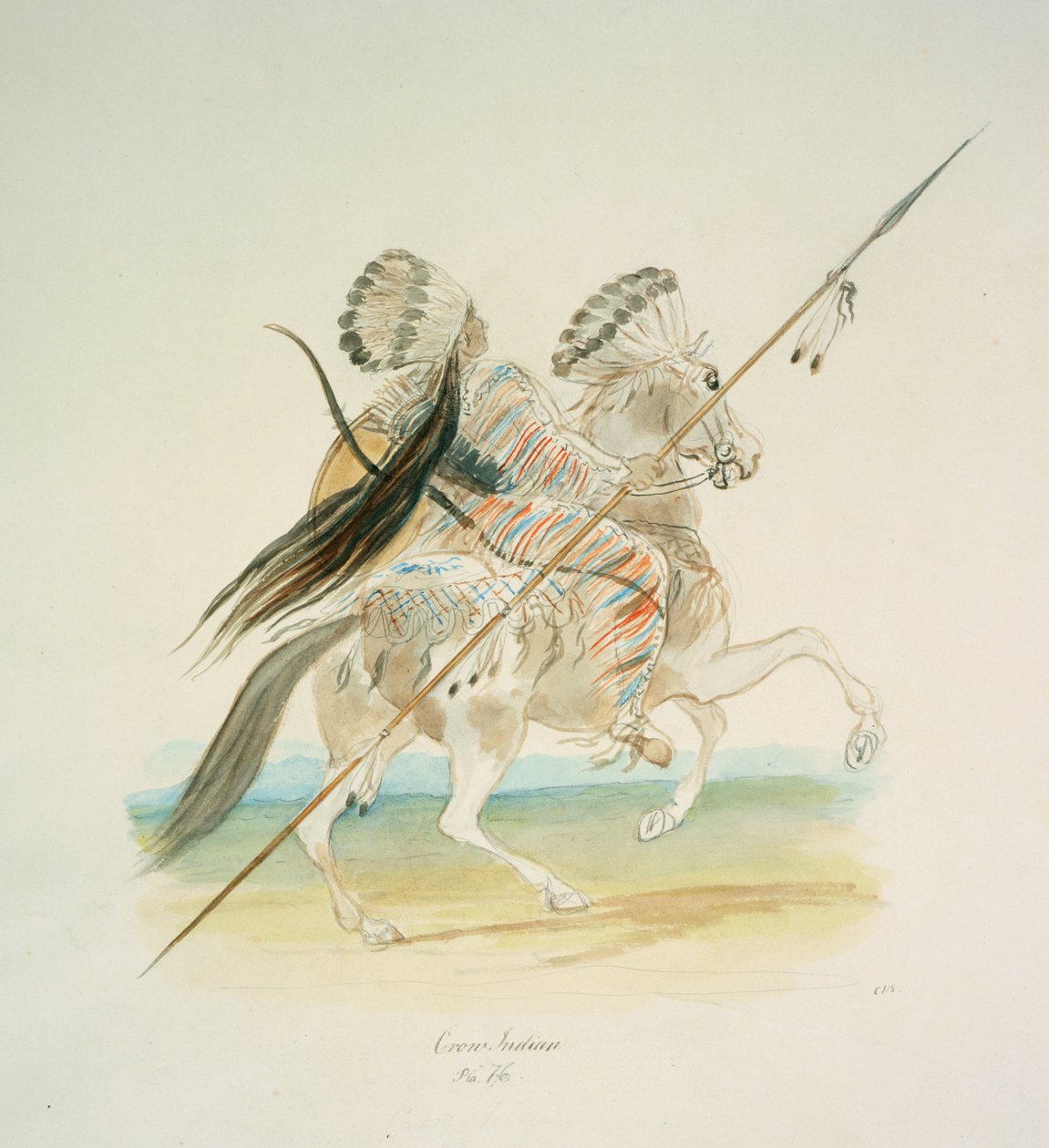 الغراب الهندي، حوالي 1843-50 (ألوان مائية) بواسطة فنان غير معروف