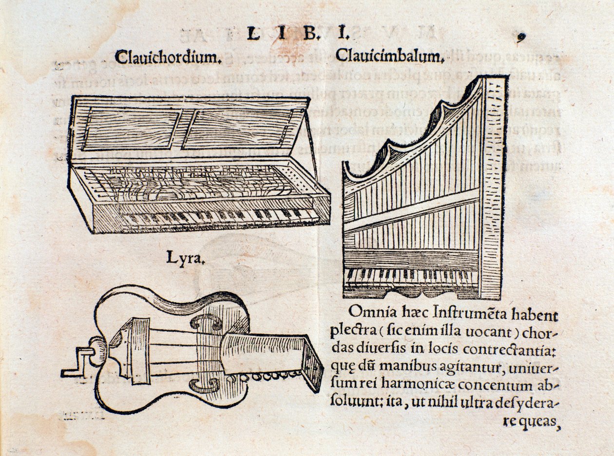 وصف Harpsichord و lyre (؟) صفحة من Musurgia seu praxis musicae بواسطة فنان غير معروف