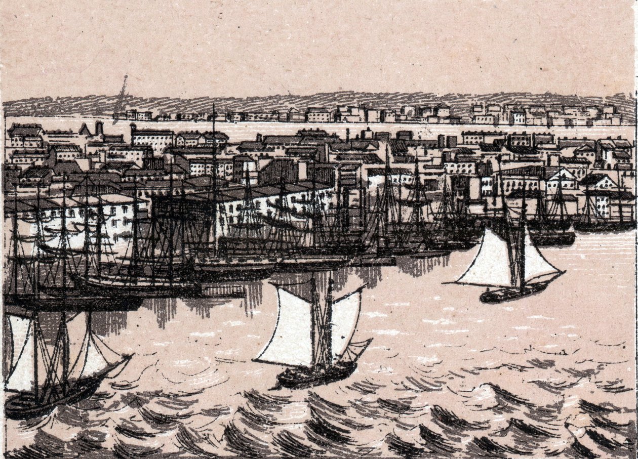 النهر الشرقي في نيويورك بالولايات المتحدة في "العالم يوضح 168 مشاهدة" غير مؤرخ (أواخر القرن التاسع عشر) بواسطة فنان غير معروف