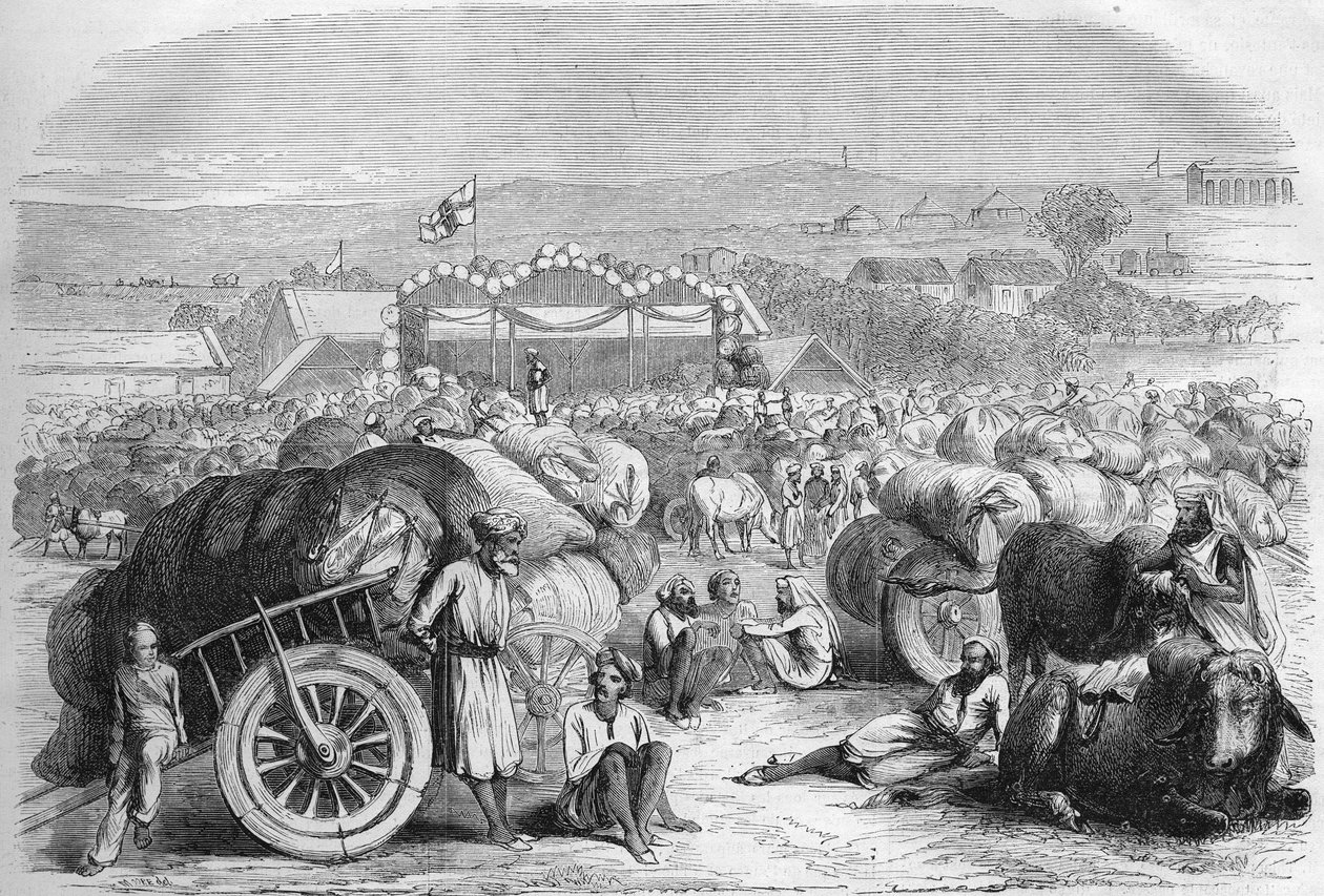 الهند الإنجليزية 1872: سوق القطن في خانجاون. بواسطة فنان غير معروف