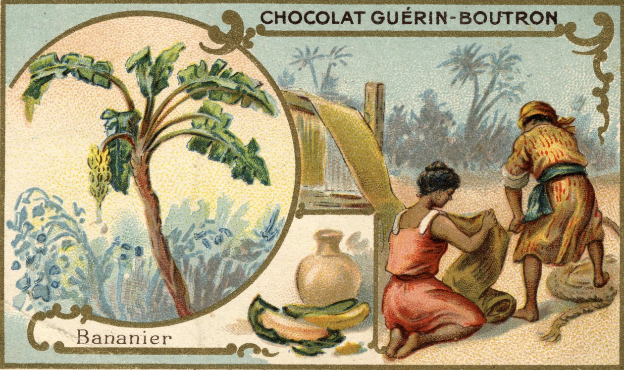 نسيج مصنوع من ألياف قشرة الموز. الطباعة الحجرية الملونة ، تعبئة شوكولاتة Guérin Boutron. بواسطة فنان غير معروف