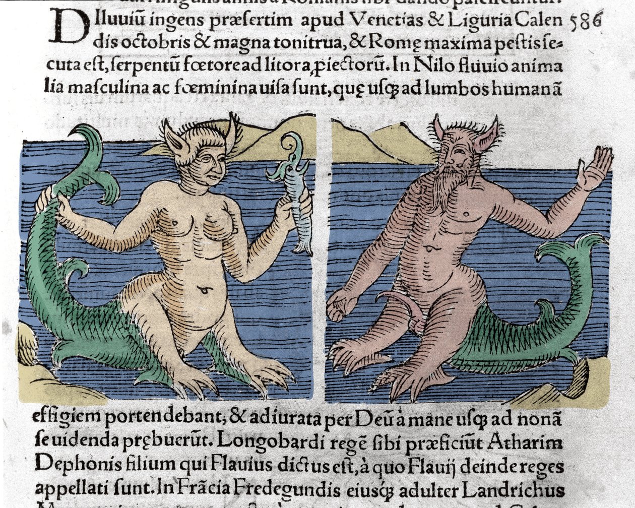 مخلوقات رائعة: سموت وصفارة انذار فى النيل. نقش "Le Livre des wonders" (Chronicle portents and portents Milano) بقلم وولفارت (كونراد ليكوستينس) 1557 بواسطة فنان غير معروف