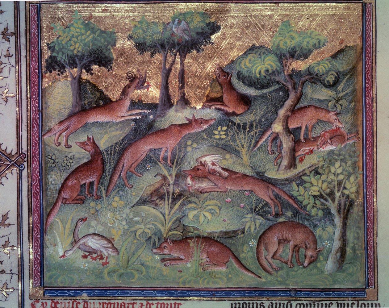 دواجن صيد الثعلب. صورة مصغرة من مخطوطة "Le livre de la chasse" (الورقة 34v) بقلم غاستون فويبوس (1331-1391) المعروفة باسم Gaston III Comte De Foix بواسطة فنان غير معروف
