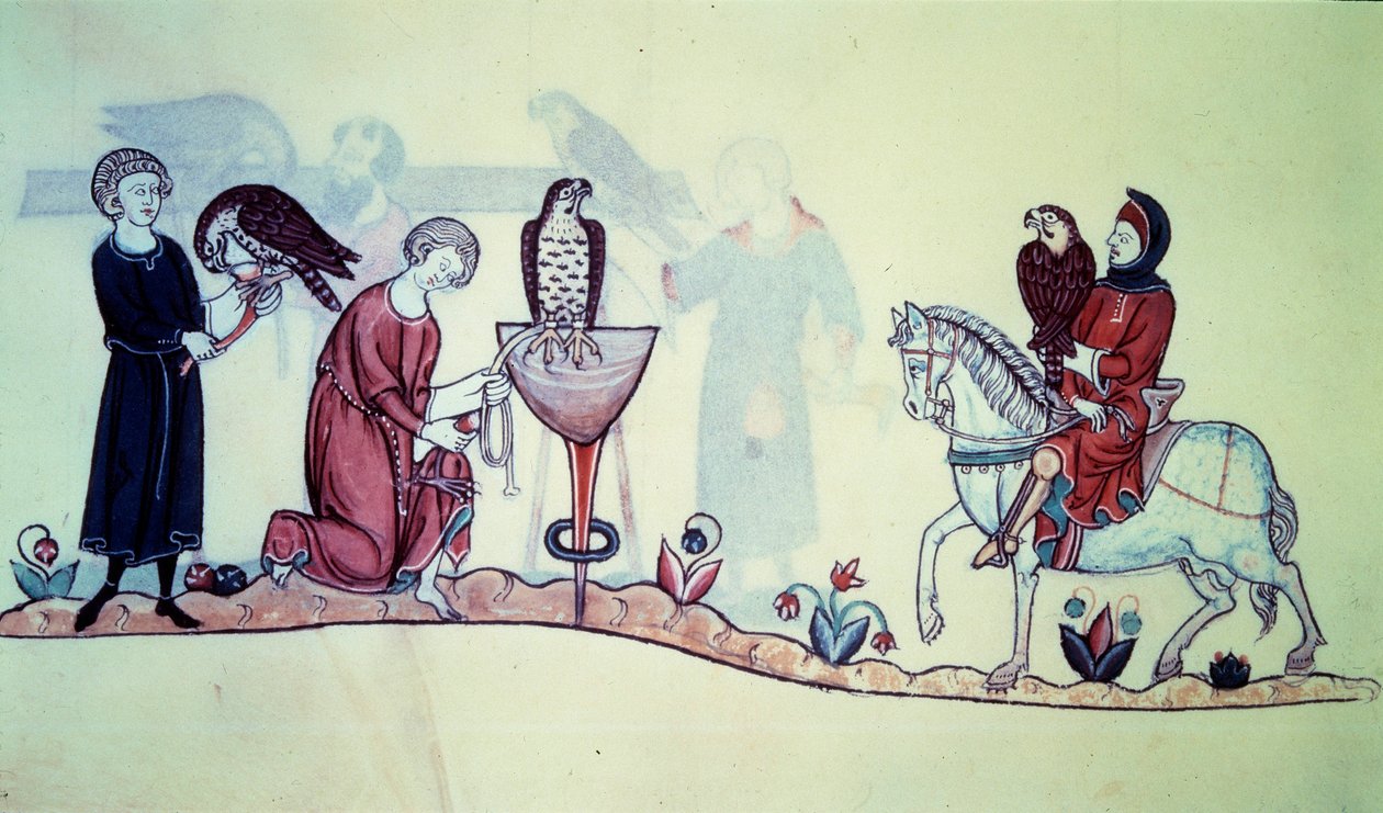 فريدريك الثاني (1194 - 1250) إمبراطور ألماني عام 1212. المنمنمات أصلها من القرن الثالث عشر للصقارة. باريس. ب ن بواسطة فنان غير معروف