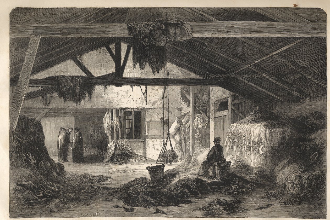 سكن تاجر خرق في شارع مونتاني سانت جينيفيف في باريس في الدائرة الخامسة. نقش 1861 بواسطة فنان غير معروف